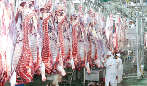 肉品公司企业彩铃
