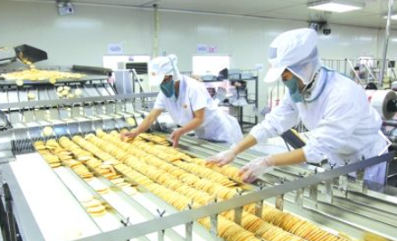 食品加工企业彩铃
